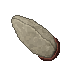 insectoid cocoon