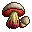 russula emetica