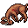 dead deer
