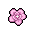 wafer paper flower