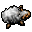 dead sheep
