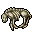 dead hyaena