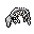 dead badger
