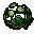 dead tortoise